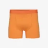 Classic Organic boxershorts – solgul