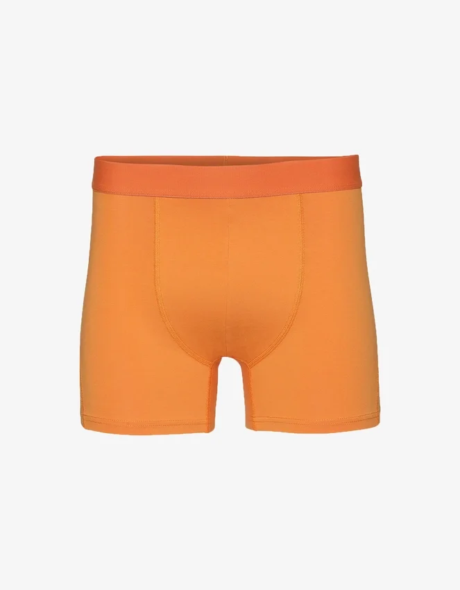Classic Organic boxershorts – solgul