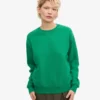 Classic Organic ekologisk rundhalsad tröja för damer – kellygrön