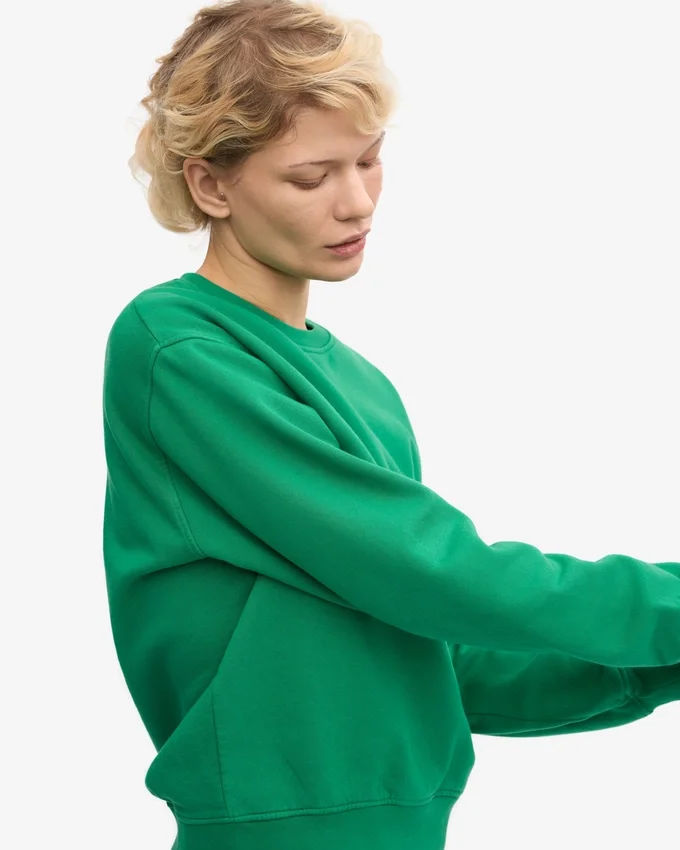 Classic Organic ekologisk rundhalsad tröja för damer – kellygrön