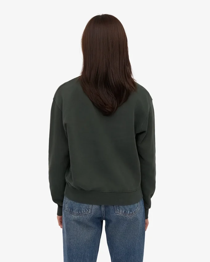 Classic Organic ekologisk rundhalsad tröja för damer – Midnight Forest