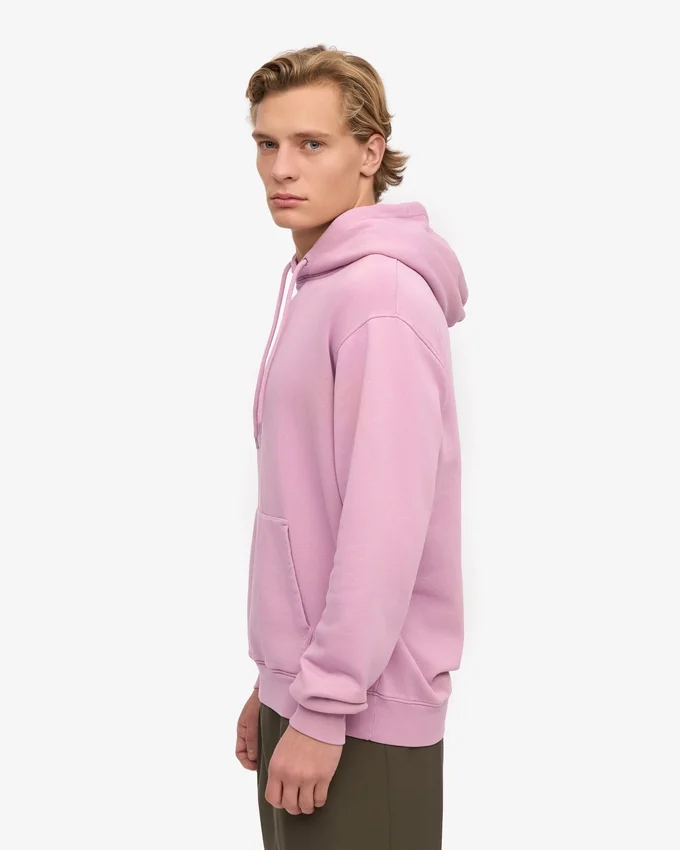 Classic Organic huvtröja – Cherry Blossom