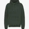 Classic Organic huvtröja – Midnight Forest