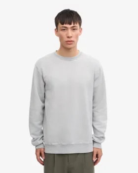 Classic Organic T-shirt – blekt grå
