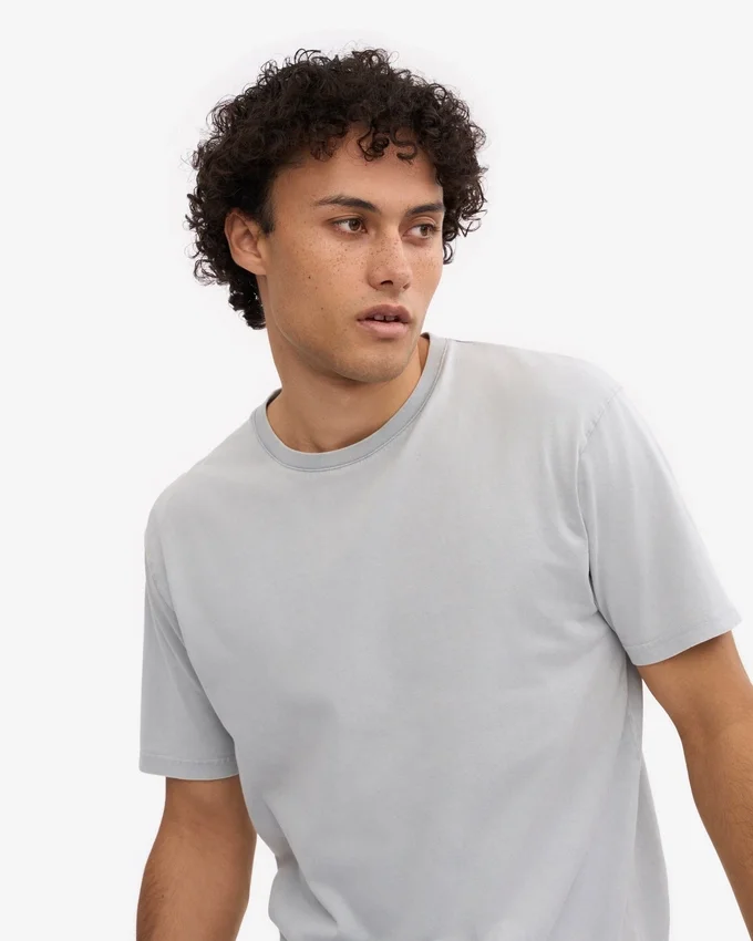 Classic Organic Tee – blekt grå