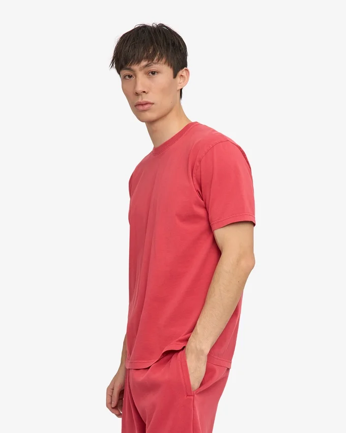 Classic Organic Tee – blekt röd
