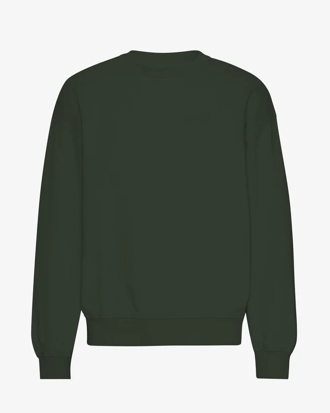 Ekologisk oversized-tröja med rund hals – jaktgrön