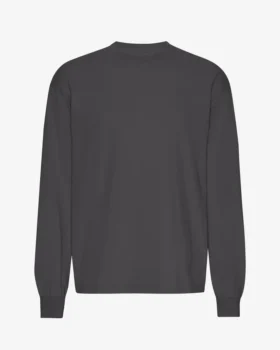 Överdimensionerad ekologisk T-shirt med lång ärm – lavagrå