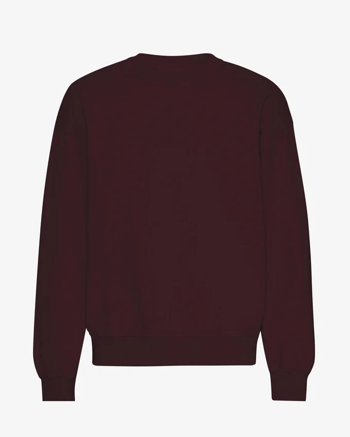 Överdimensionerad ekologisk T-shirt med rund hals – oxblodsröd