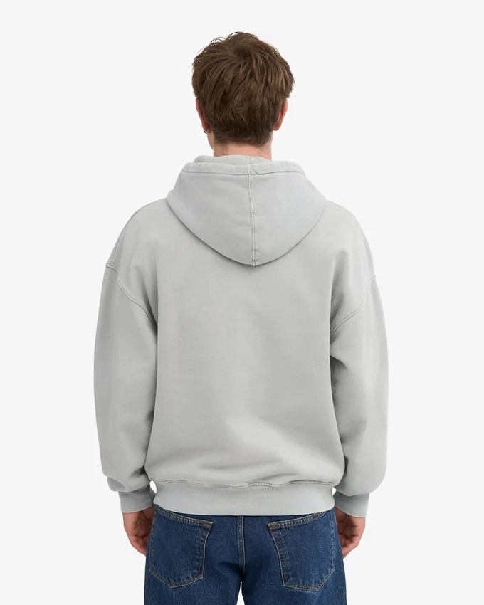 Överdimensionerad hoodie med dragkedja i ekologiskt bomull – blekt grå